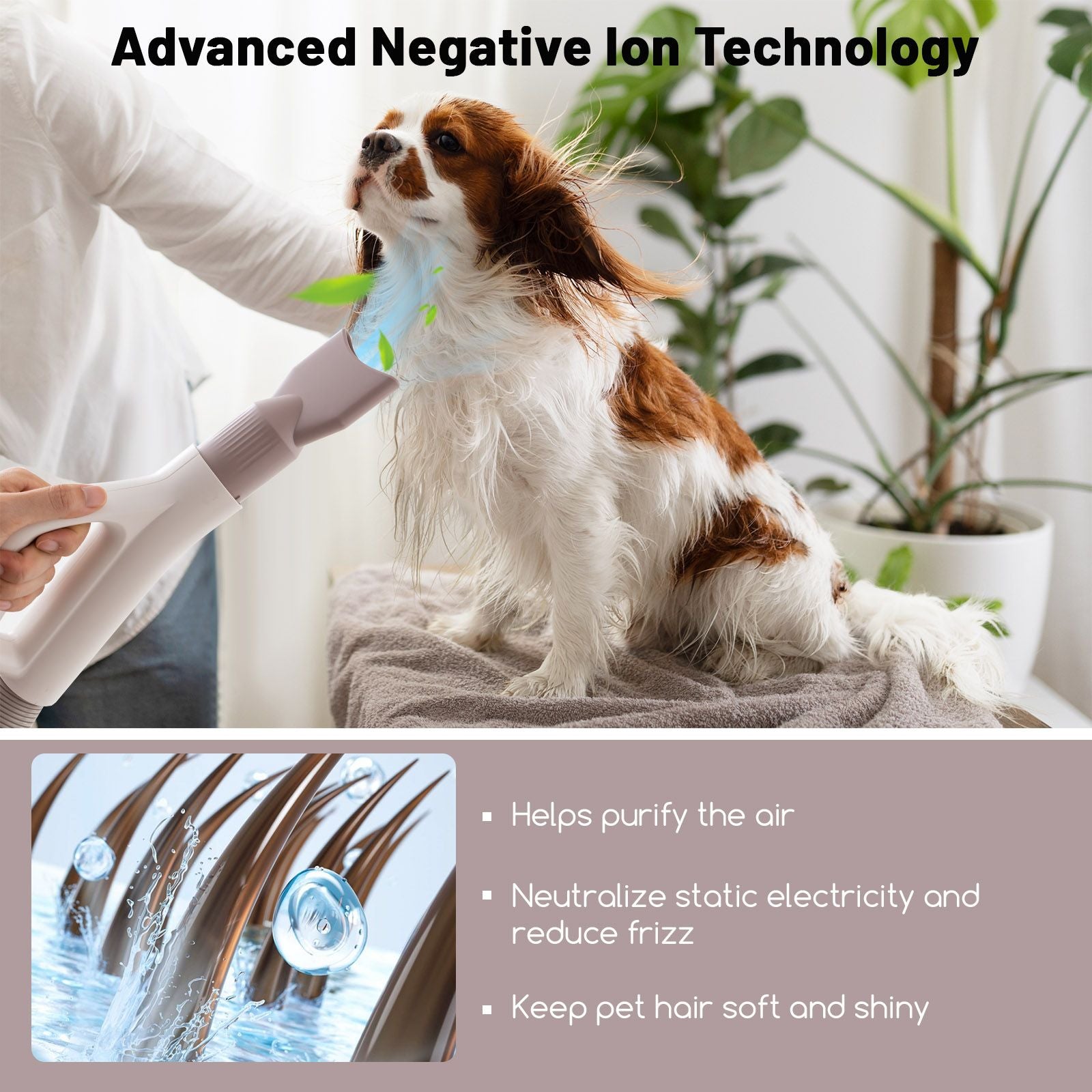 Dog Cat Hair Blower with Negative Ion Function easy to use