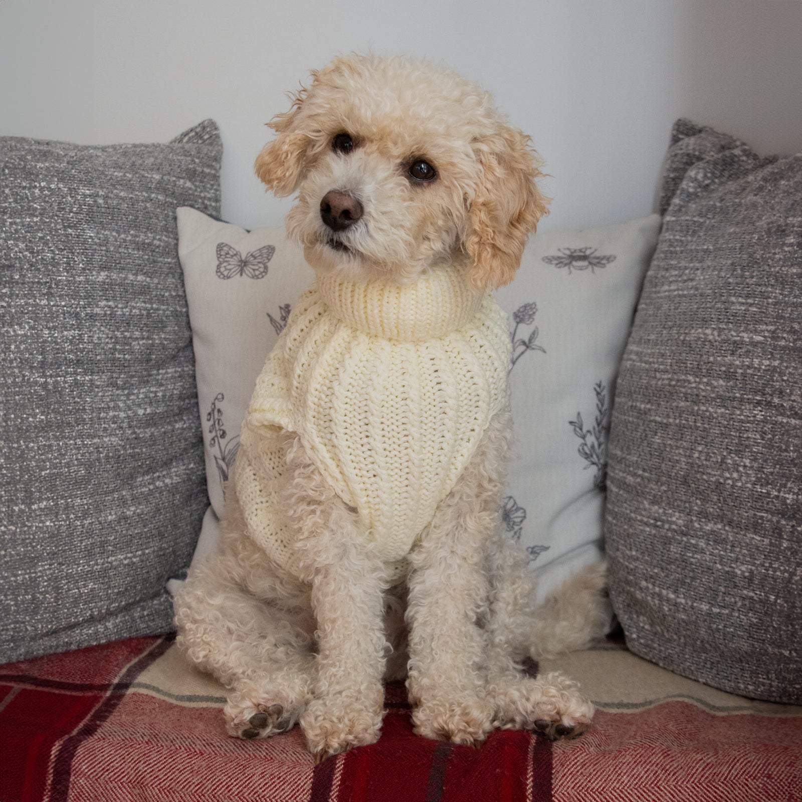 Dog Luxury Knitted Fitted Warm Jumper in Grey Brown Cream Sizes 25,35,40Cm S/M/L