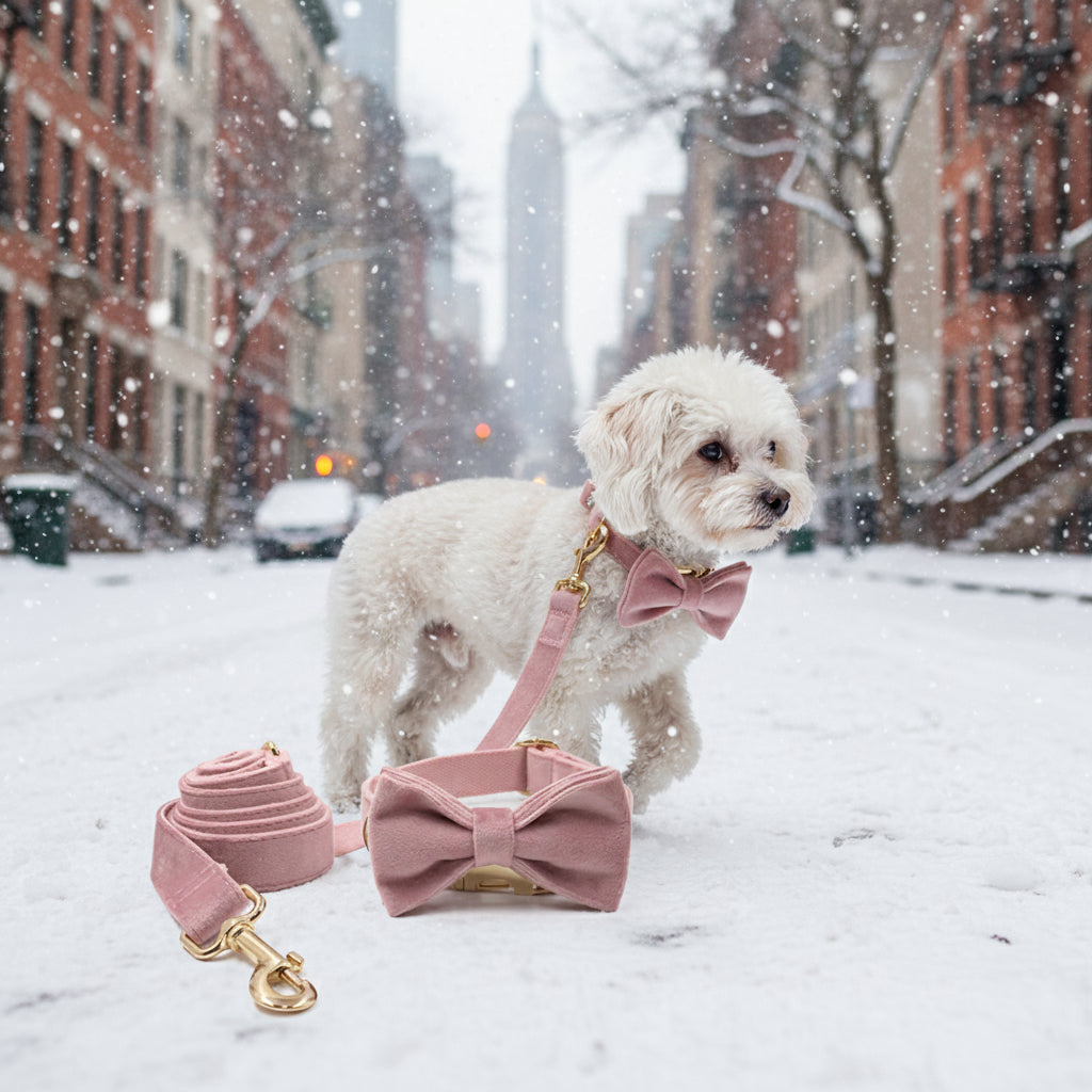 Pink Dog Harness for Girl Dogs Cute Dog Collar with Removable Bowtie 5Pcs Pet Traction Set Dog Harness Bow Collar Leash Poop Bag